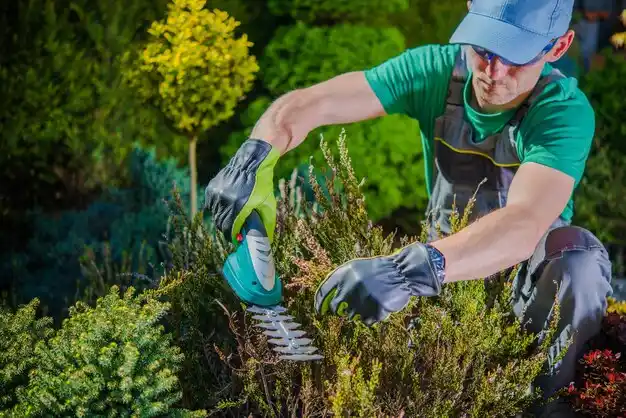 landscaping services North Hornell